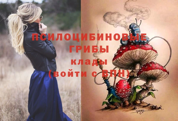 apvp Покровск